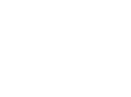 shivaspice wordpress website development